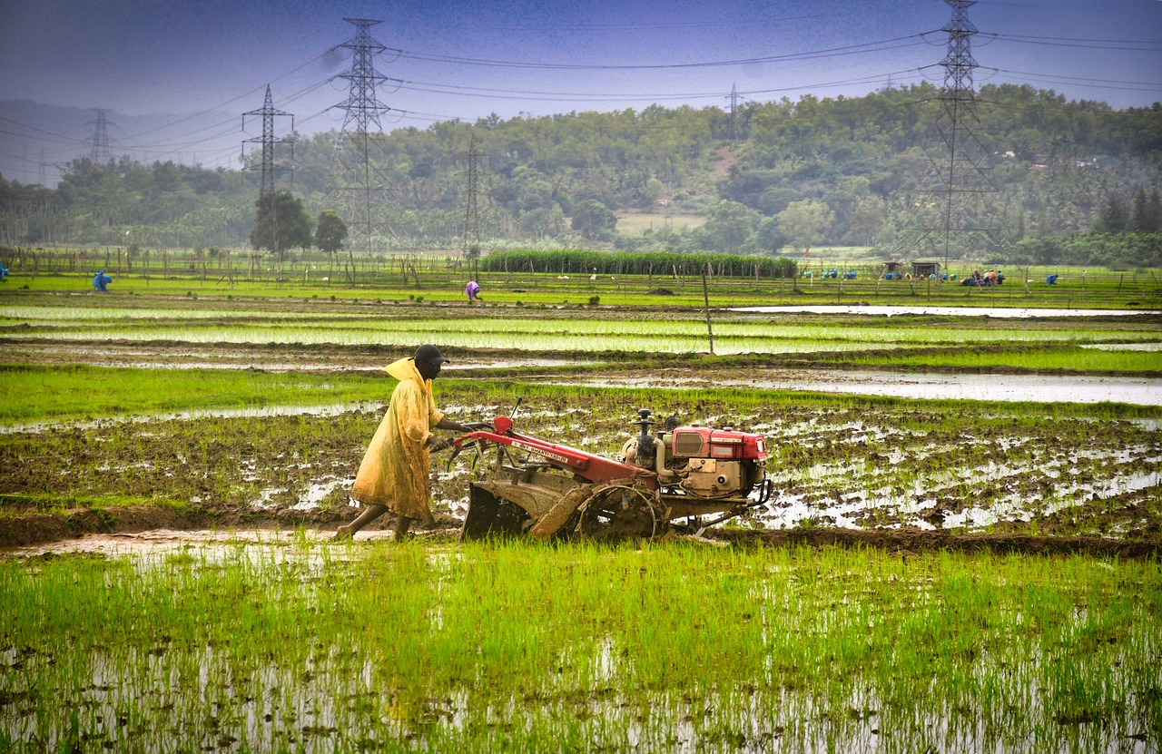 farm 8270612 1280.jpg